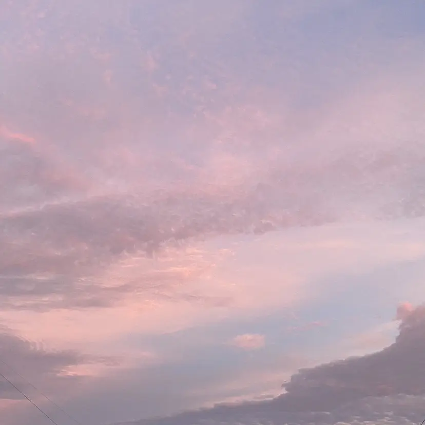 Lidee chiharuの掲載