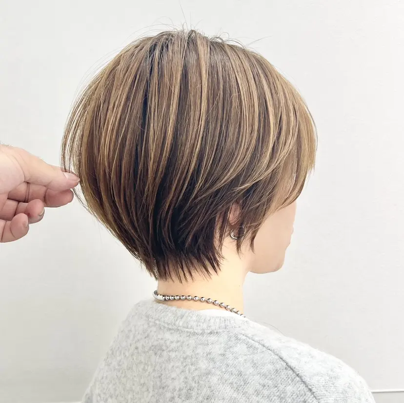 長野 智史の掲載