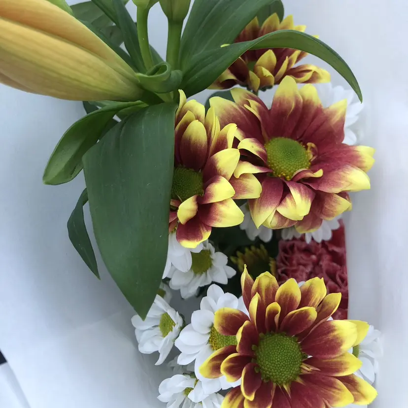 セレビアイ日本橋 吉田の掲載