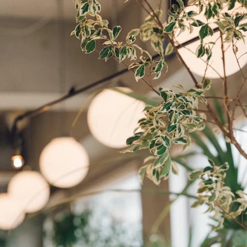 髪質改善ヘアエステ miyuの掲載