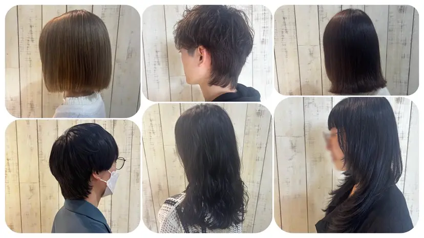 丸山 早紀の掲載