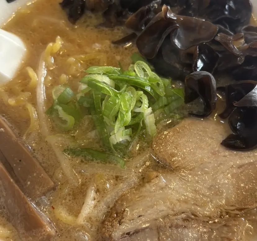 🩷 しおり 🩷の掲載