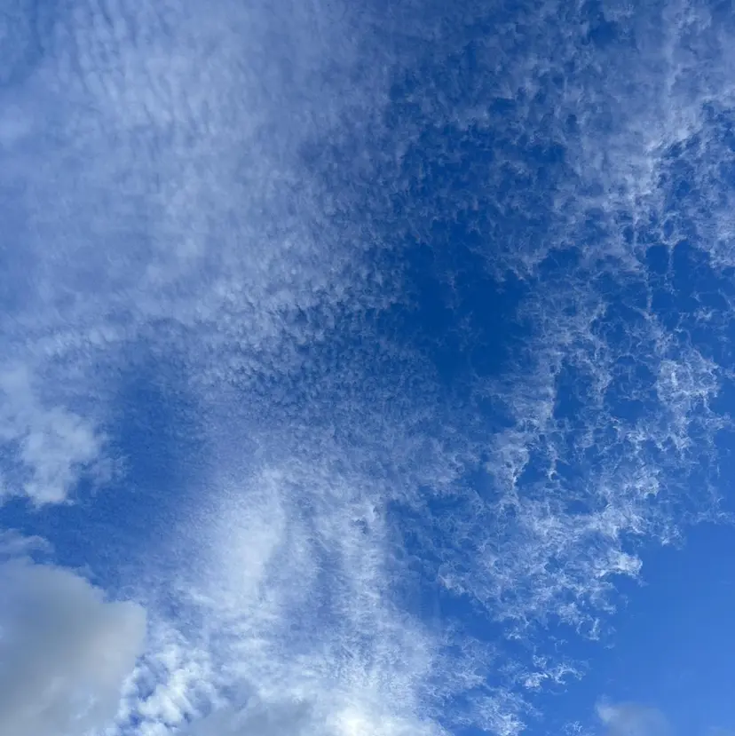 fiorista岡田 まゆこの掲載