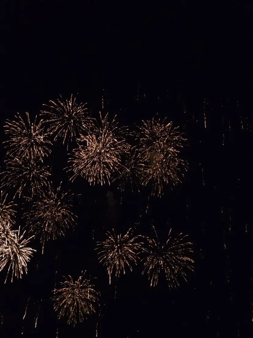 近藤 那果の掲載