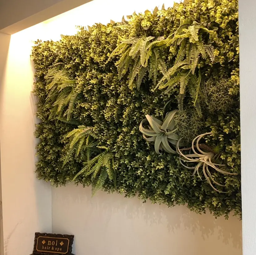 水谷 菜央の掲載