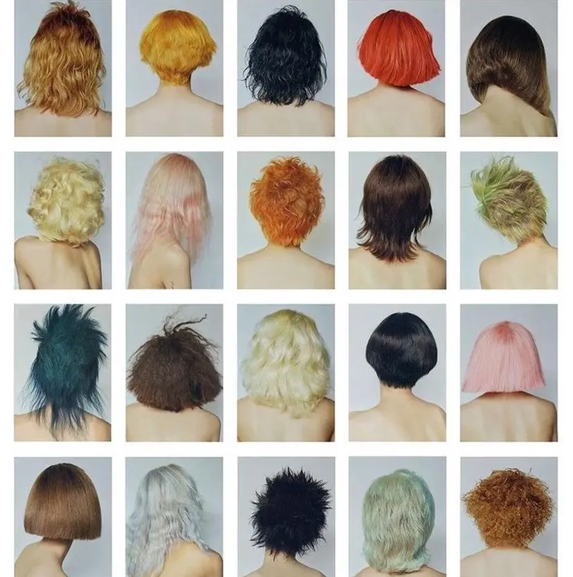 🎀レイヤー/ カラー🐕‍🦺anの掲載