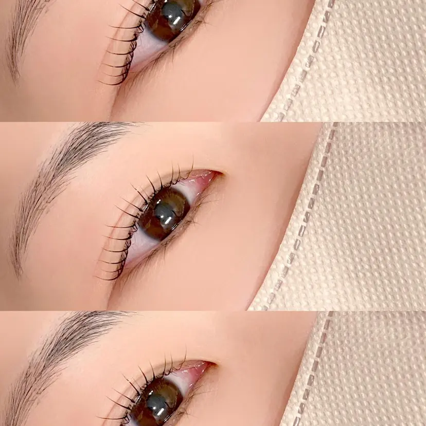 montee eyelashの掲載