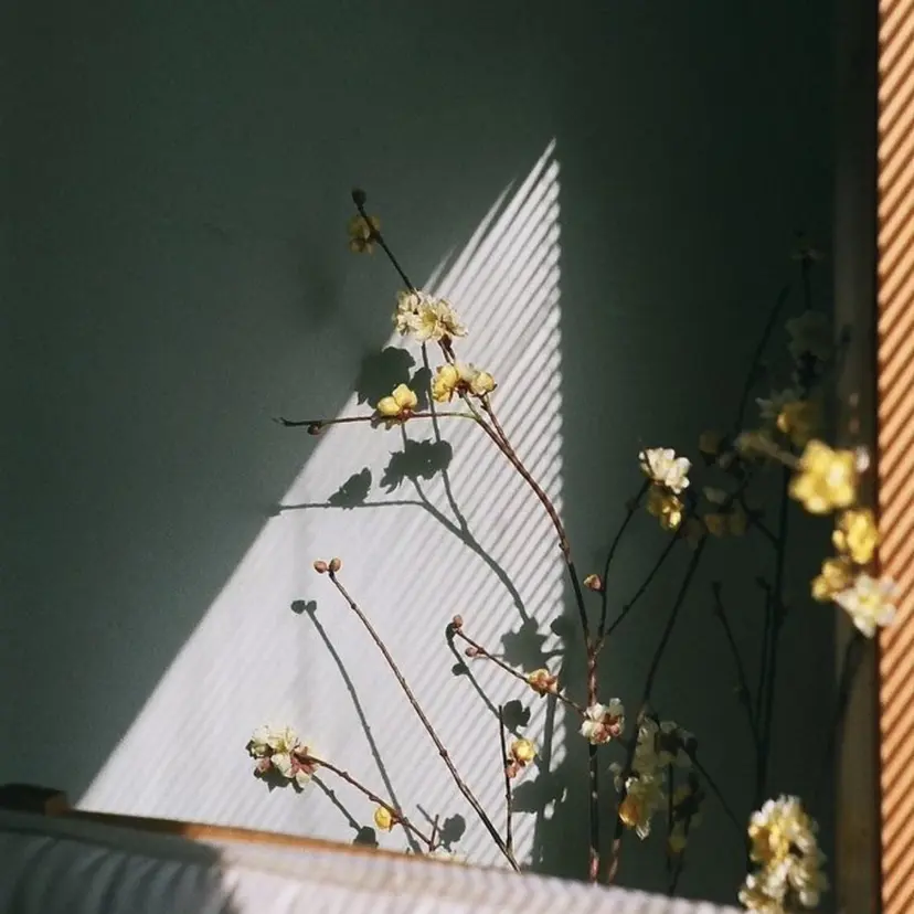 POLA R-isa 店／ｓｅｒｉの掲載