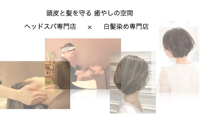 ジャンクロードビギン 自由が丘プリヴェアンの掲載