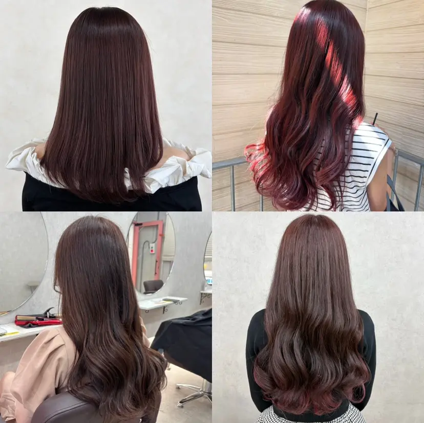 倉澤 愛理の掲載