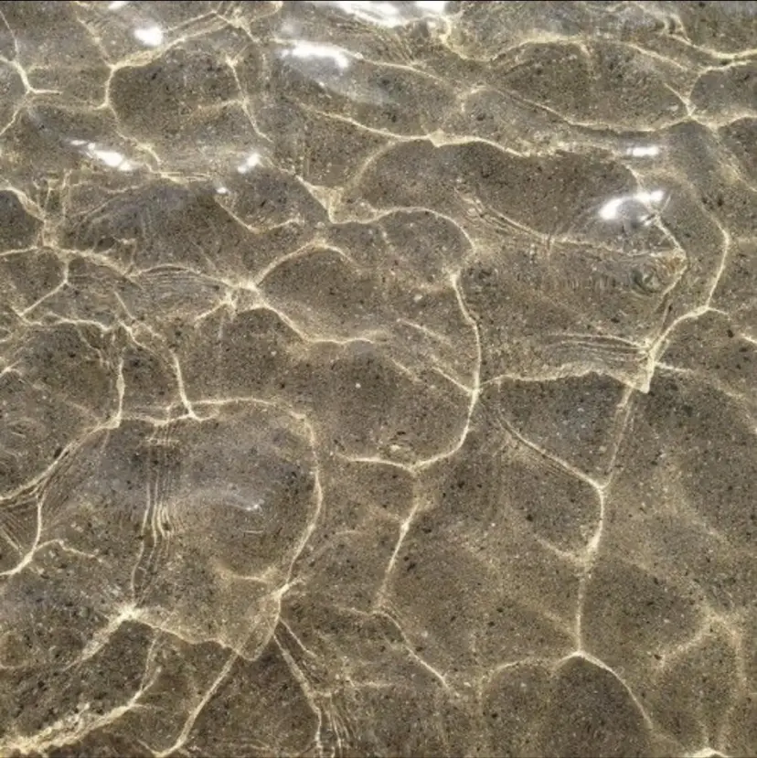 撮影モデル募集 🦋soemikaの掲載