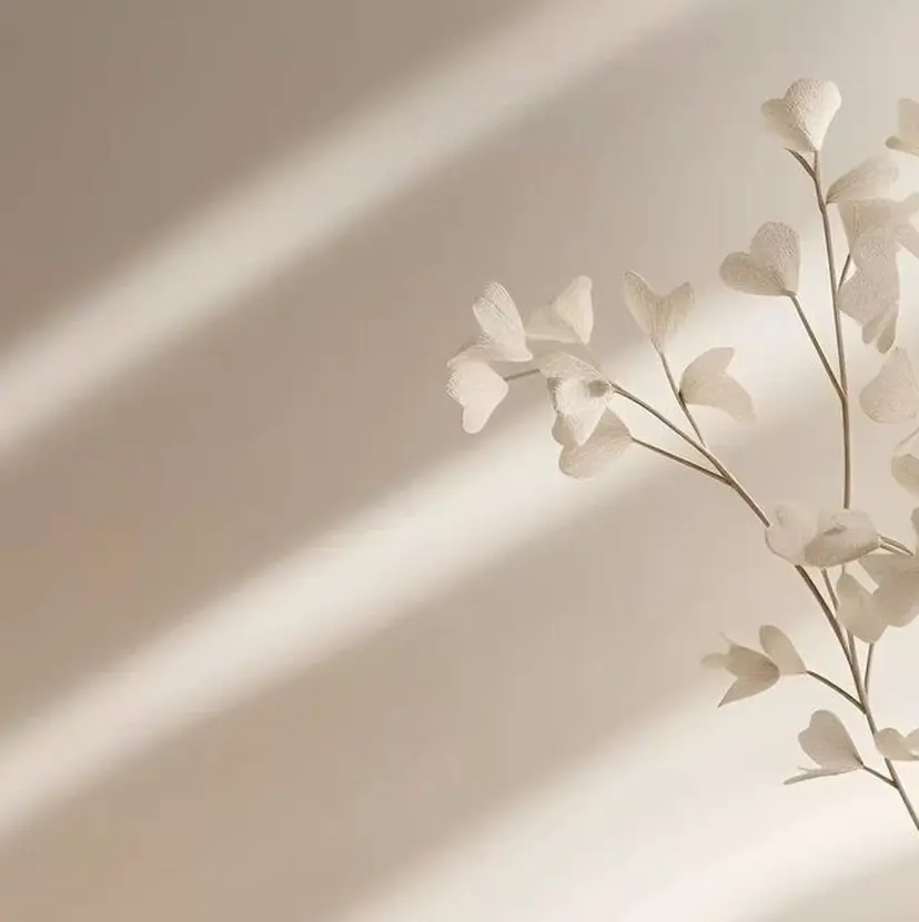 FORCE_ watanabeの掲載