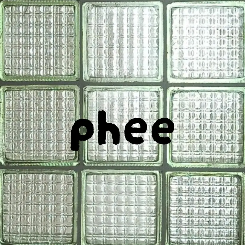 phee フィーの掲載