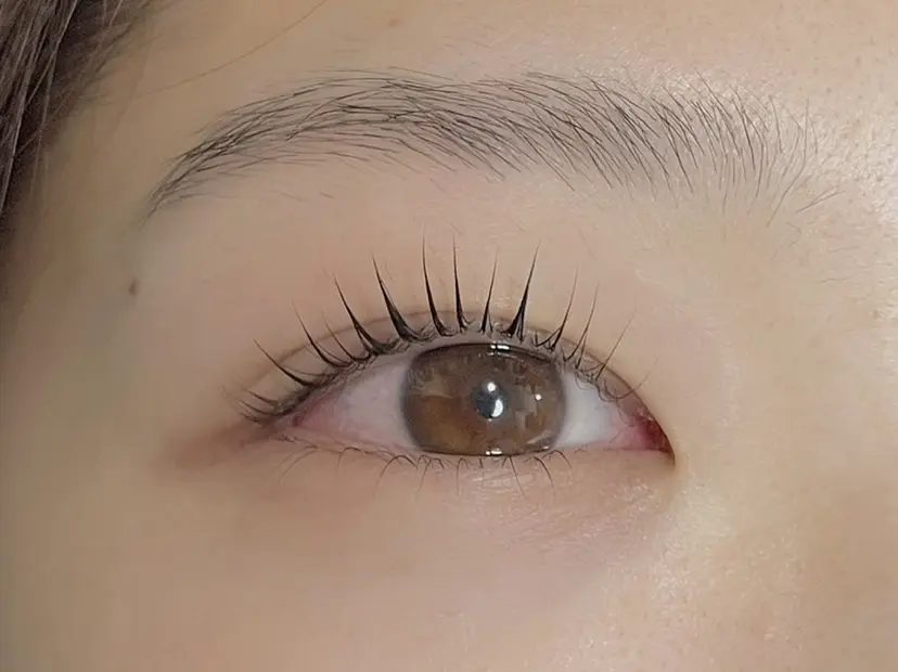 田口 斐世李の掲載