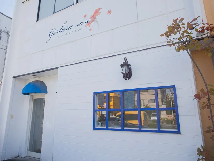 gerbera roseの掲載