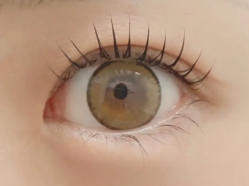 橋本 カミラの掲載