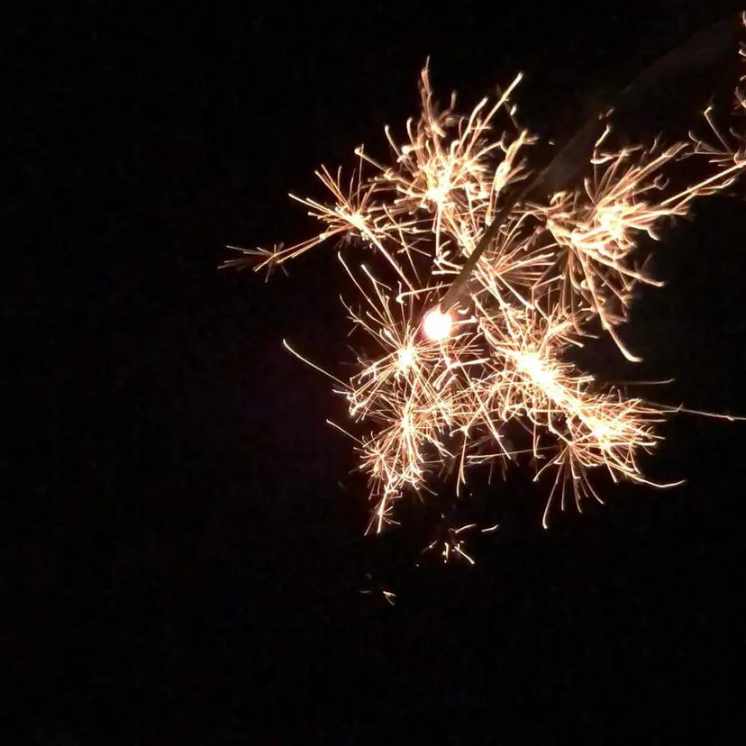 安田 柚月の掲載