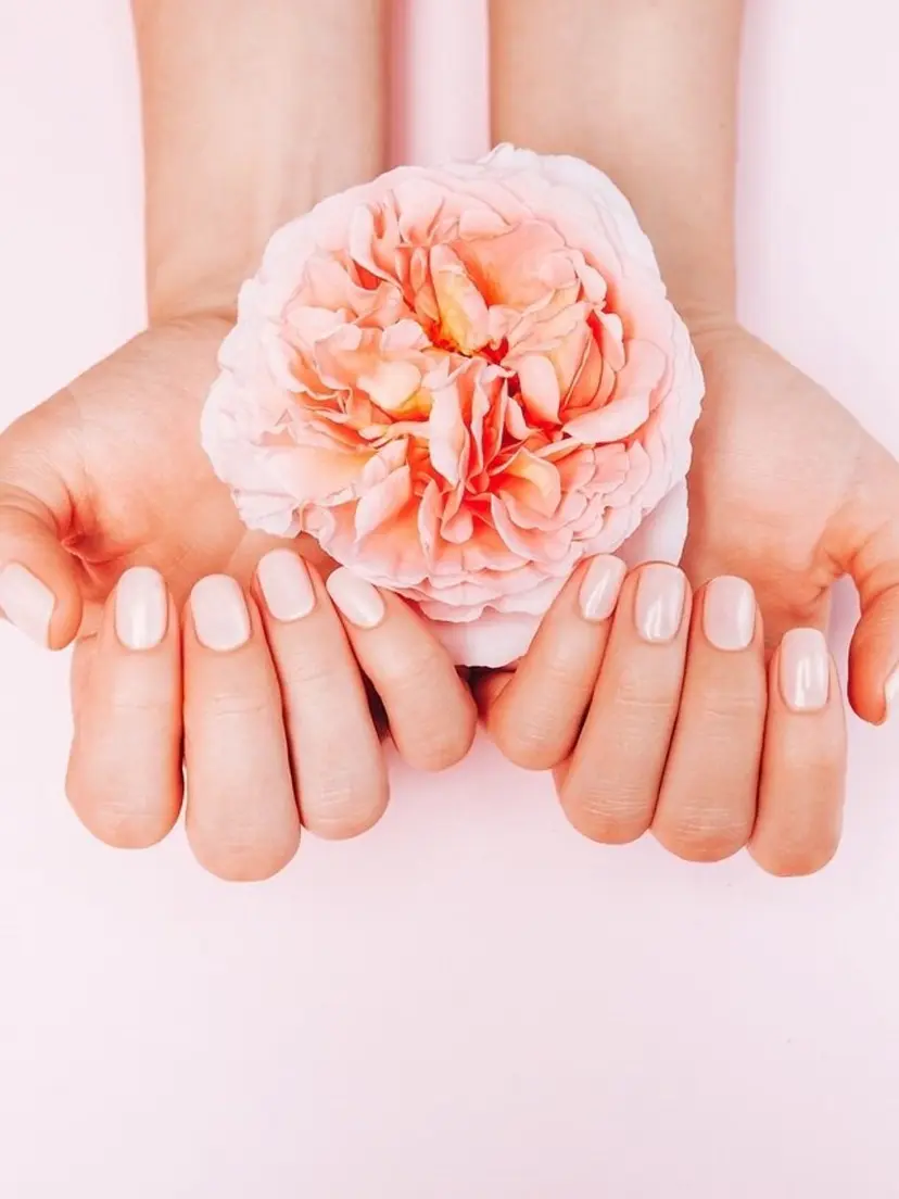 牧野 アピニアの掲載