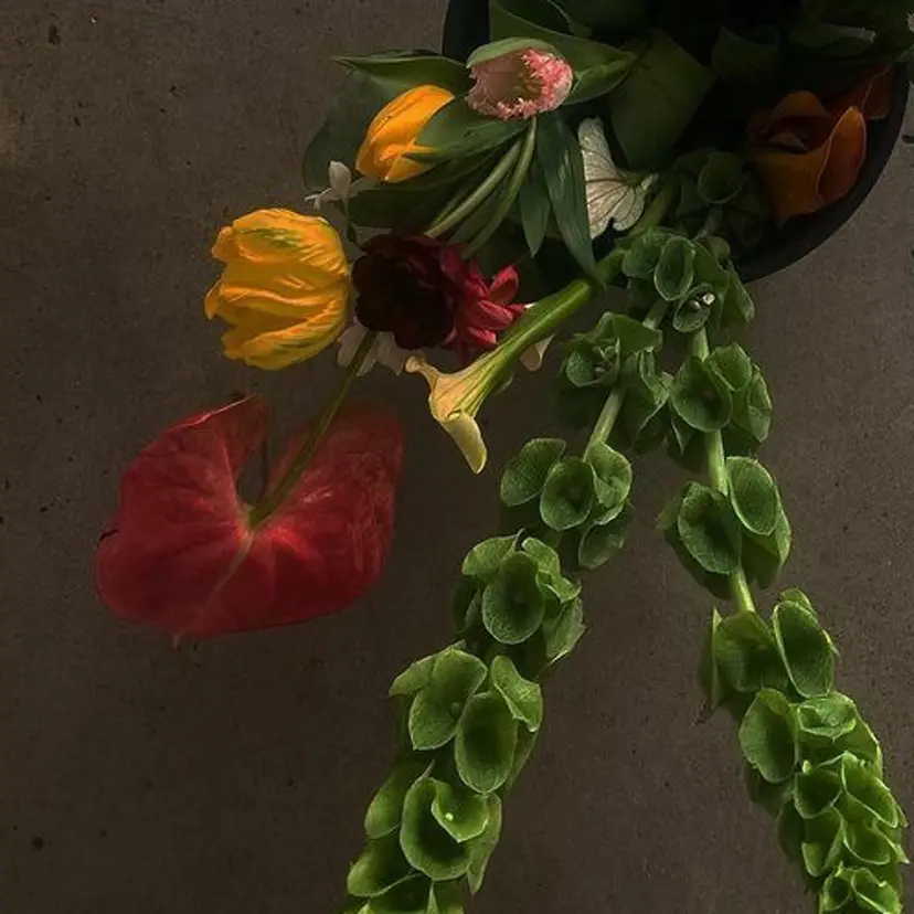 藤原 百花の掲載