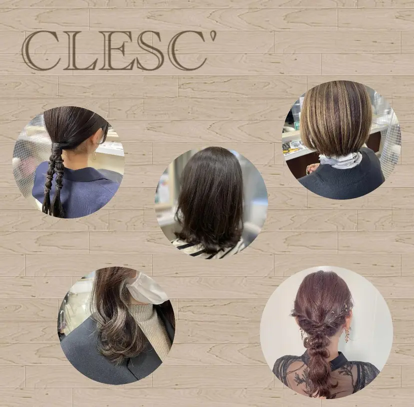 豊田 智美の掲載