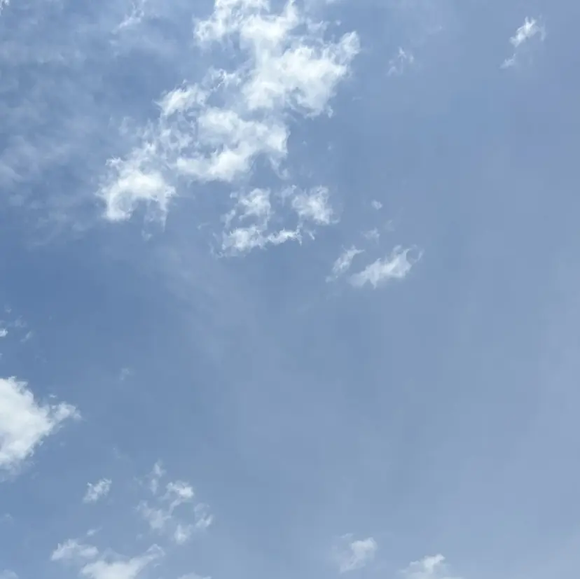 あおい 🐼の掲載