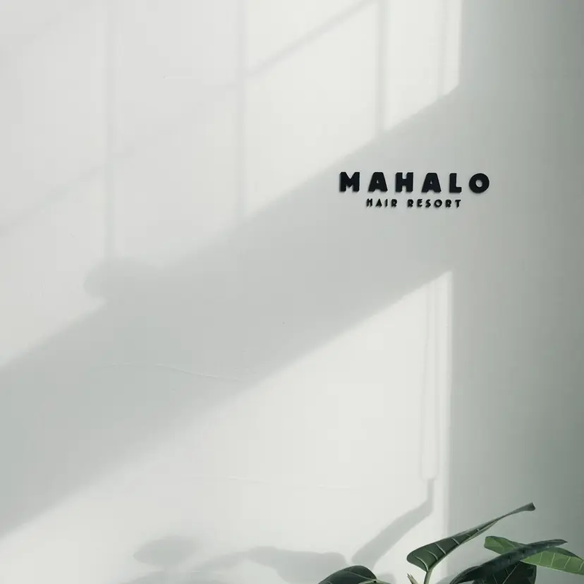 いさか ゆうきの掲載