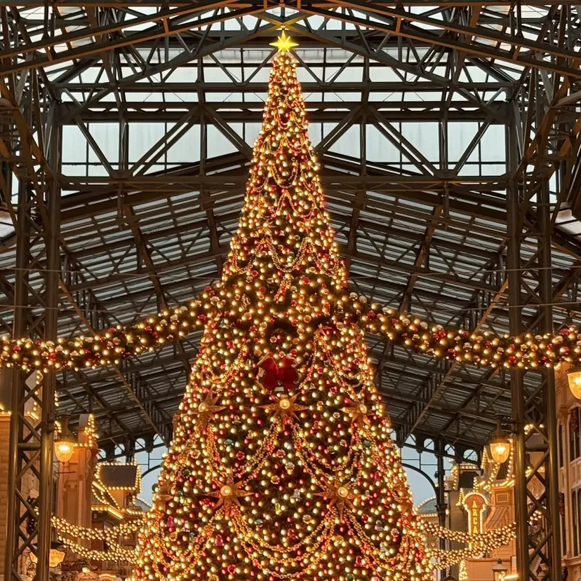 akari / ミディアムパーマの掲載