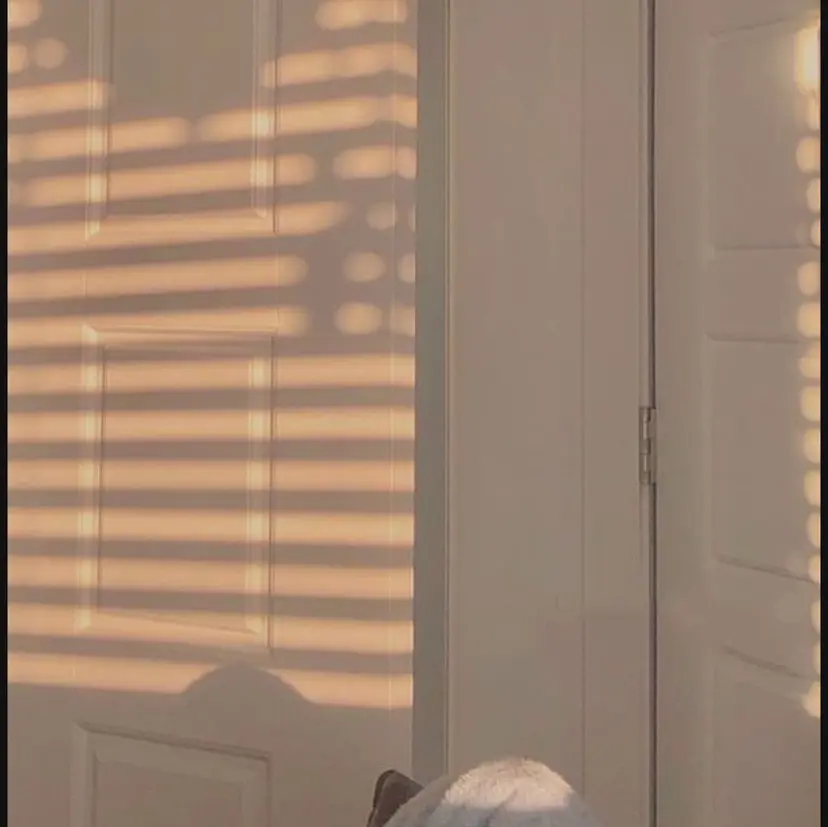 新越谷/韓国風/艶髪 miyuの掲載