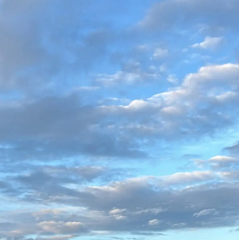 ボブ／レイヤーモデル 募集中🫧ゆい🌼の掲載