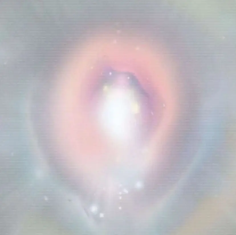 rikuto カット/パーマの掲載