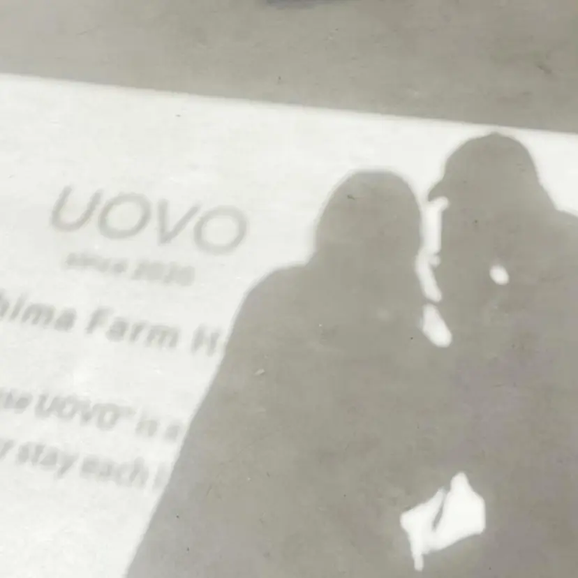 ミゾベ アイラの掲載