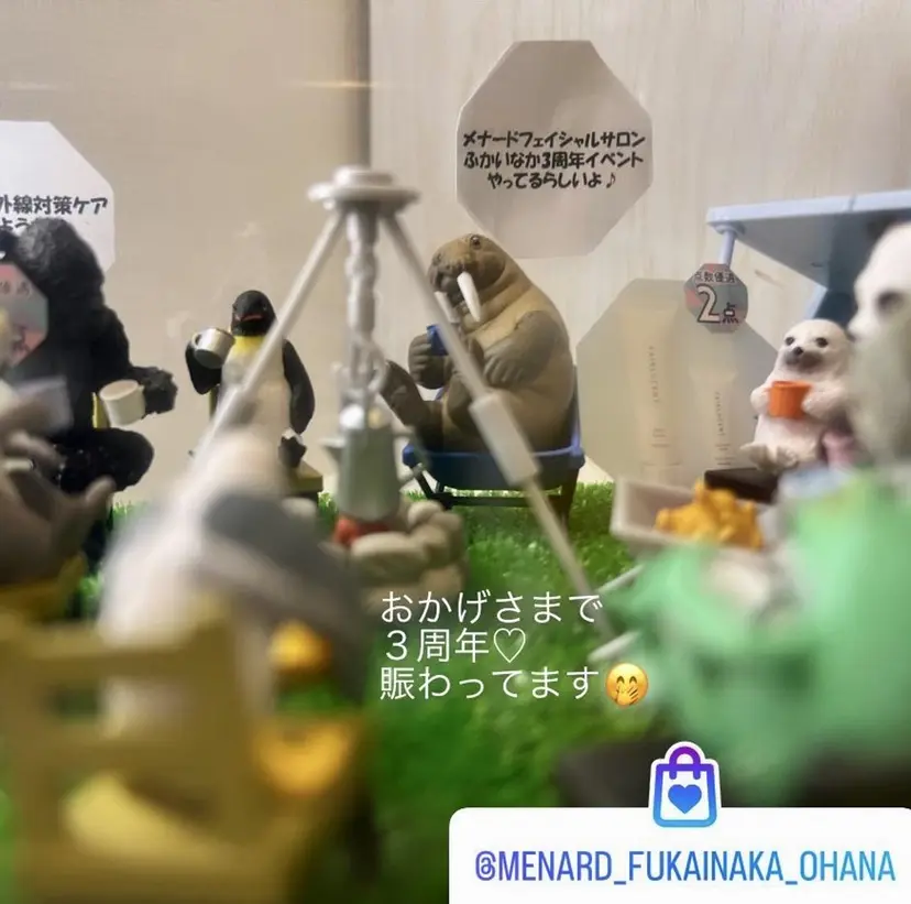 服部 恵里那の掲載