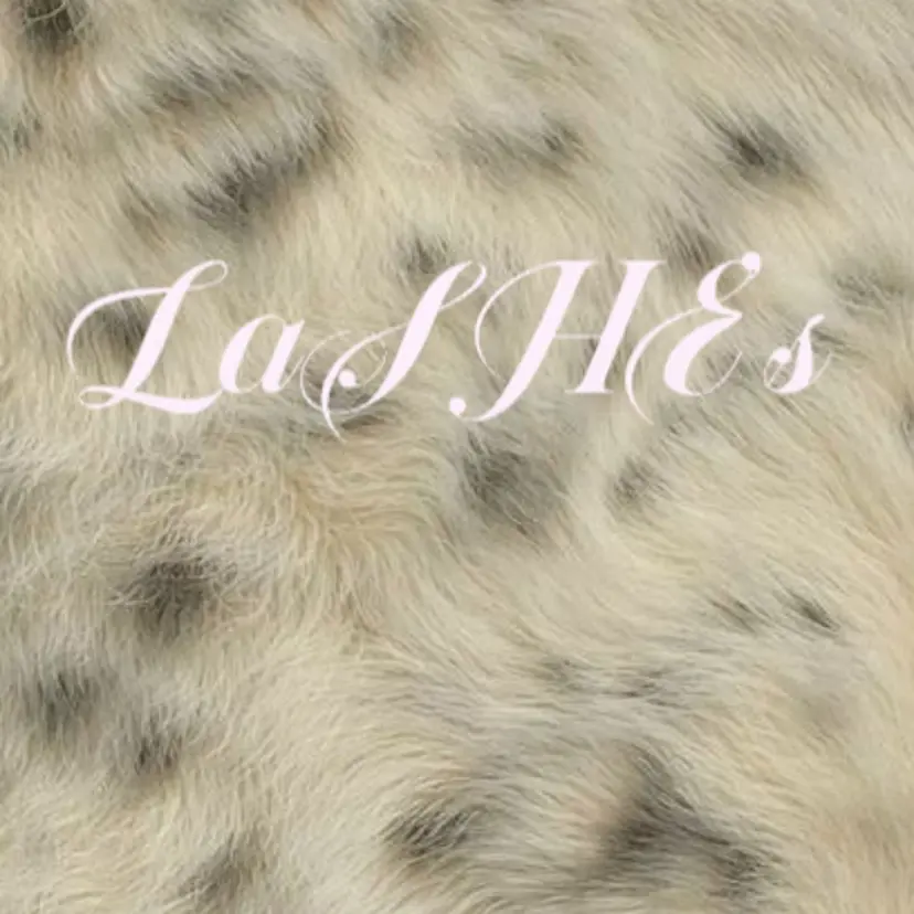 LaSHE's YUKARIの掲載