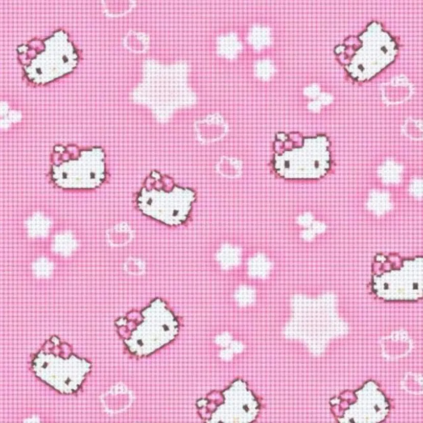 AMERI Karinの掲載