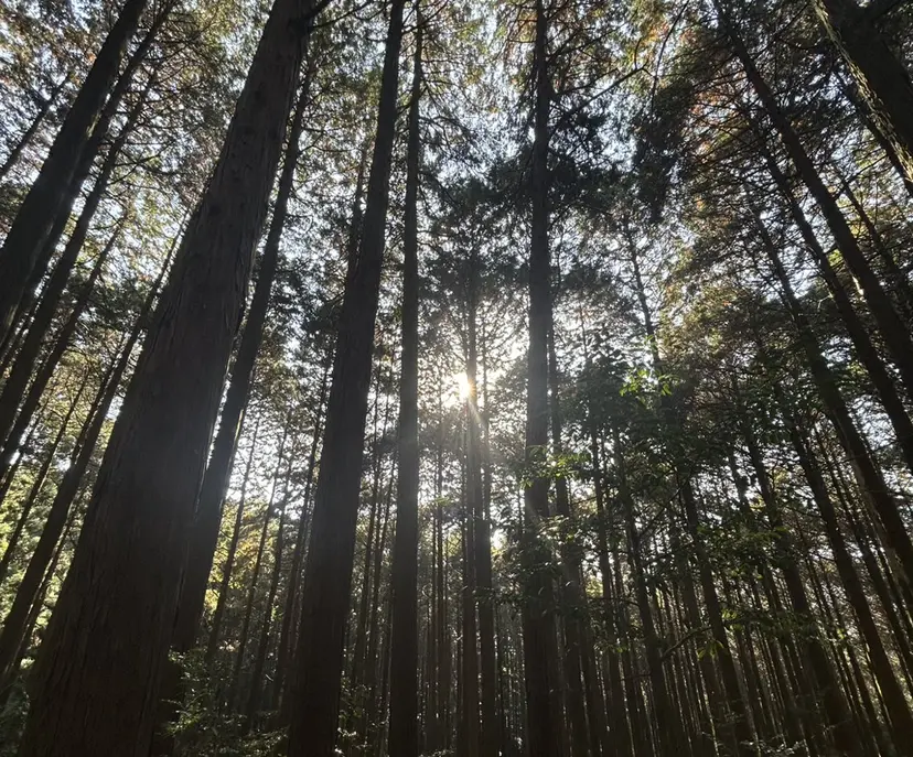 経田 偉央の掲載