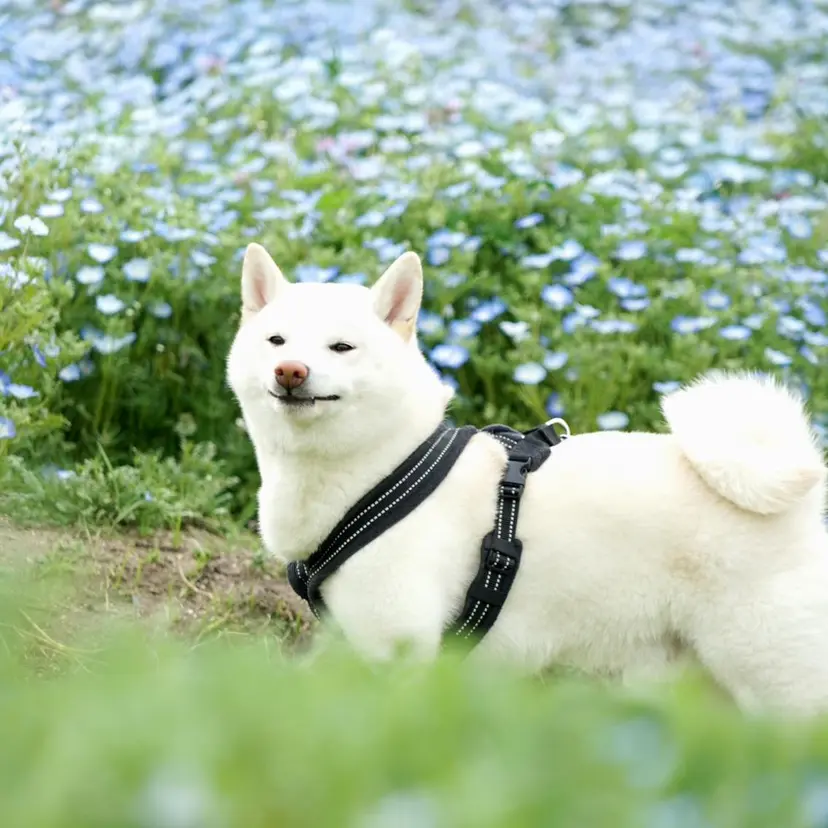 maru -Nail&Eye-の掲載