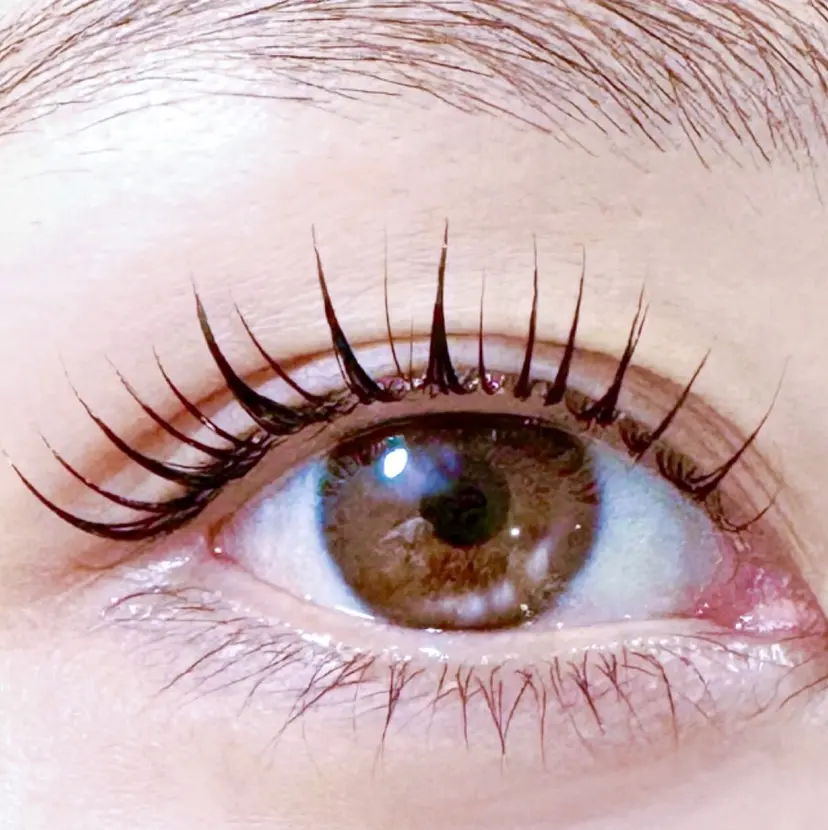 アナナ アイラッシュの掲載