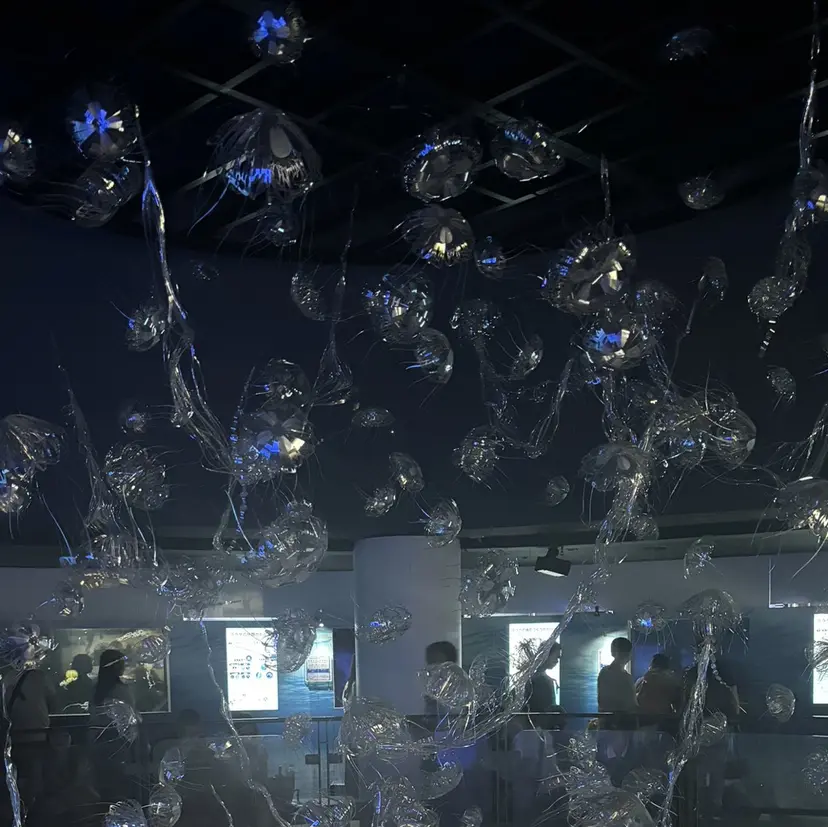 Terve. 梅沢 彩菜美の掲載