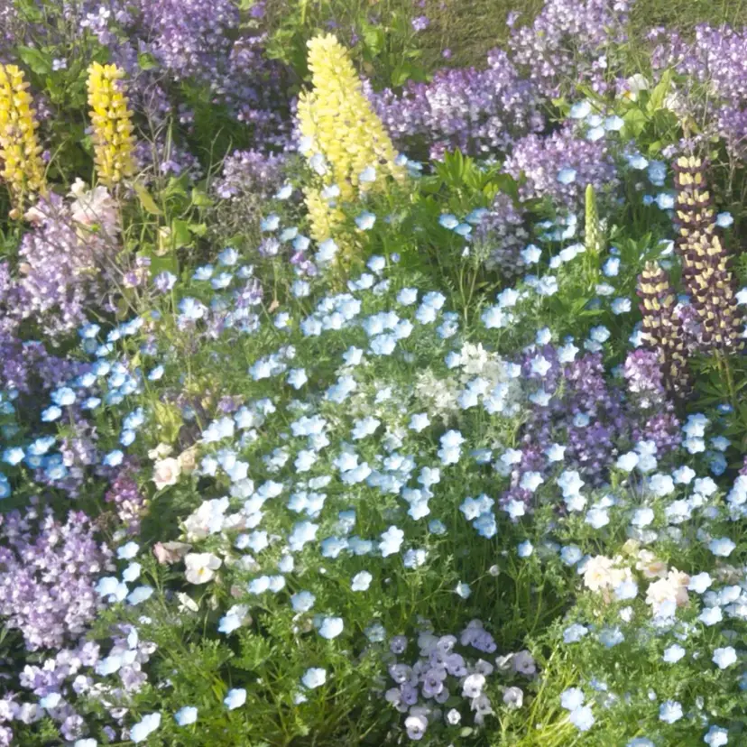 MIKA/ボブ/ レイヤー/メンズの掲載