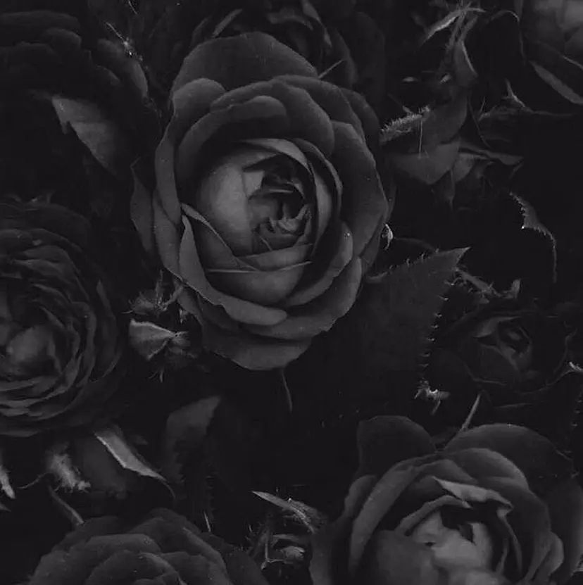 梅田Unknown. 凪咲🦋の掲載