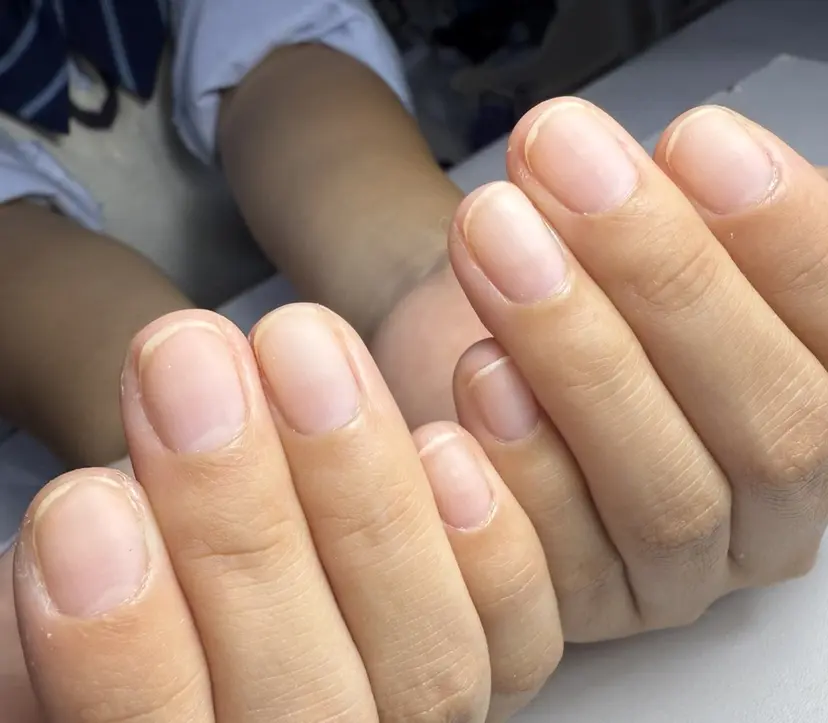 佐賀 有希子の掲載