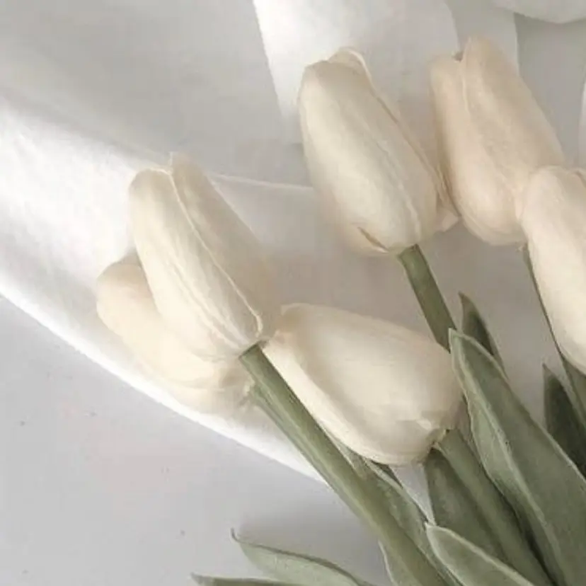 束感まつ毛/眉毛 /Kaedeの掲載