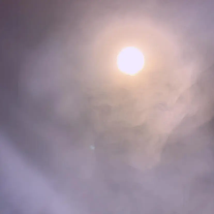 watanabe Yuukaの掲載