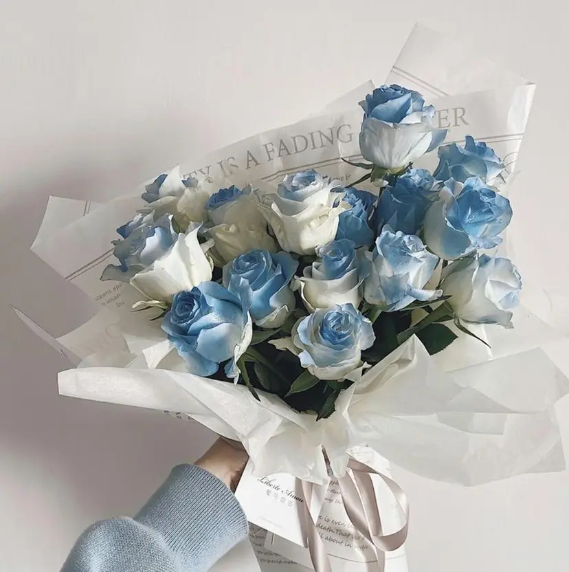 eyelashZen 🧸Moeの掲載