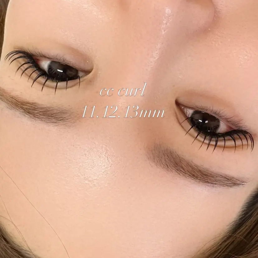 proof arisaの掲載