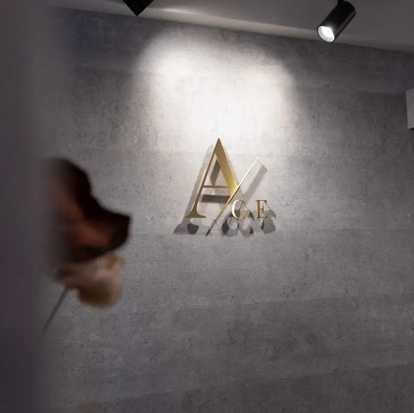 銀座ACE 銀座二丁目店の掲載
