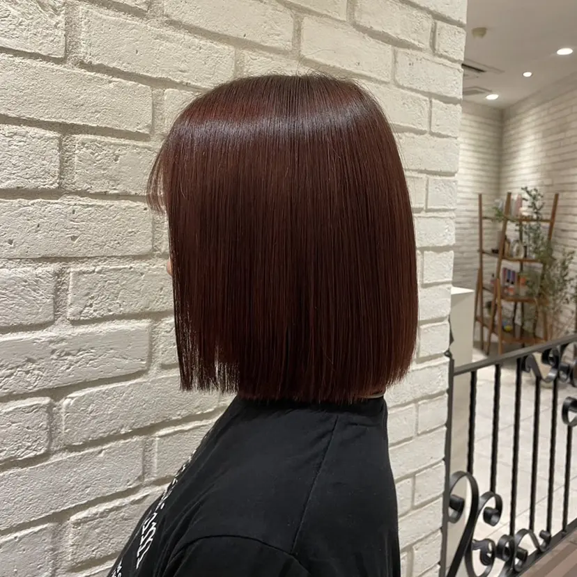 田島 穂乃花の掲載