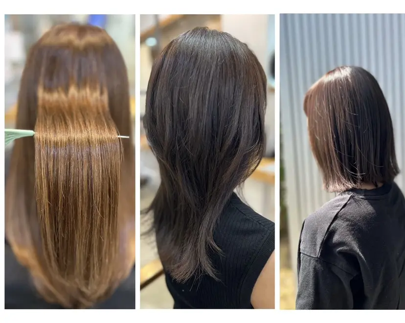 櫻井 千穂の掲載