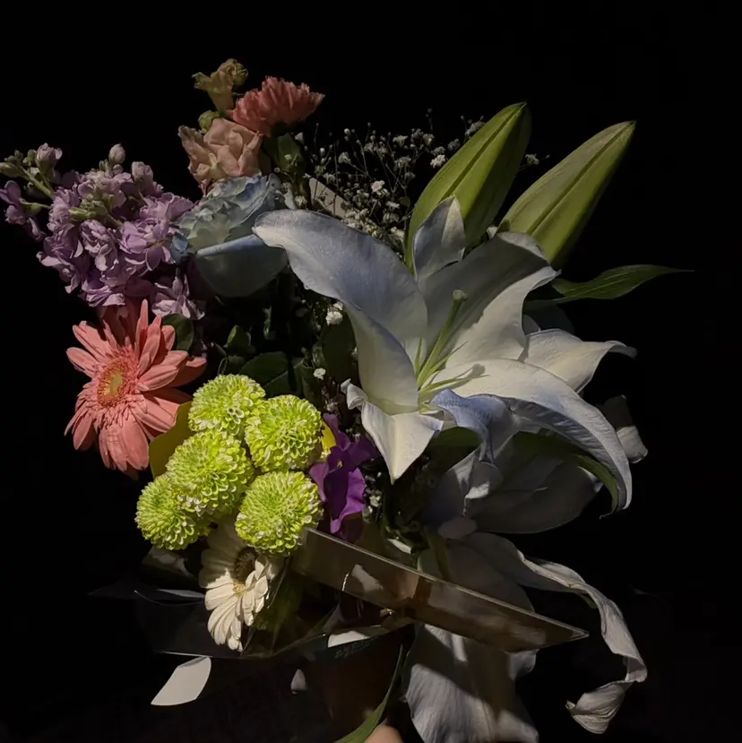 CHINATSU 🌙˚✧₊⁎の掲載