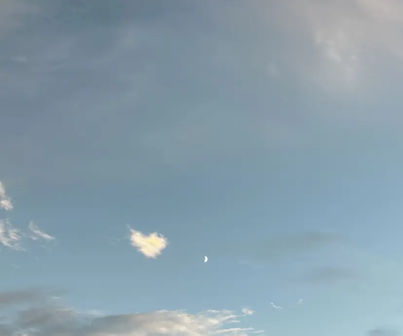 黒田 友莉の掲載